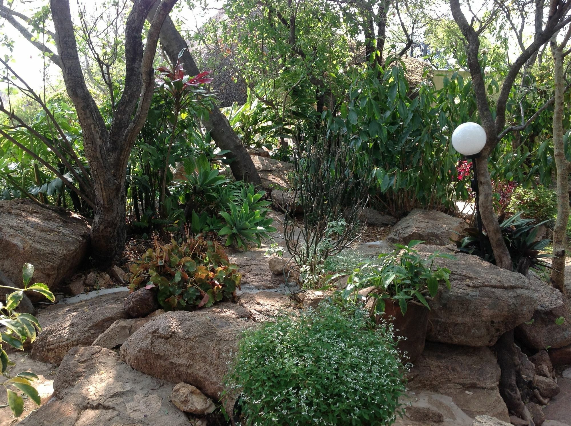 Lynns Guest House Bulawayo Dış mekan fotoğraf